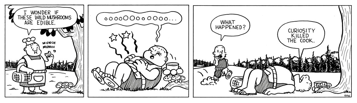 bad shrooms