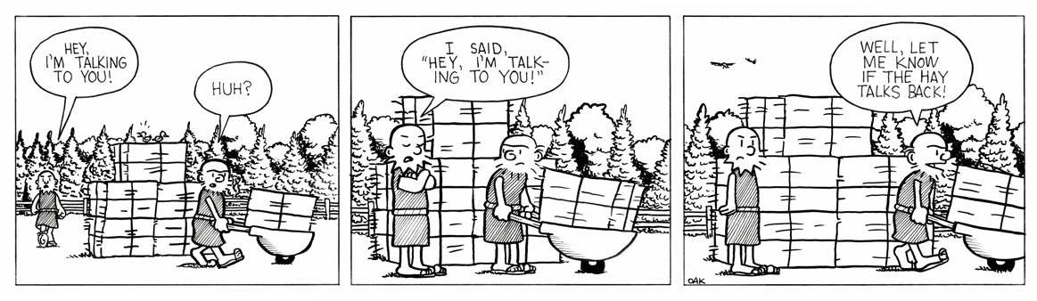 hay